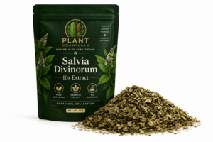 Plant Boanicals Salvia Divinorum 10X Extract botanical collection featuring premium forest green packaging and dried Salvia leaves