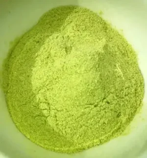 Peruvian Torch Cactus Powder (Trichocereus peruvianus) — Botanical Specimen Powder